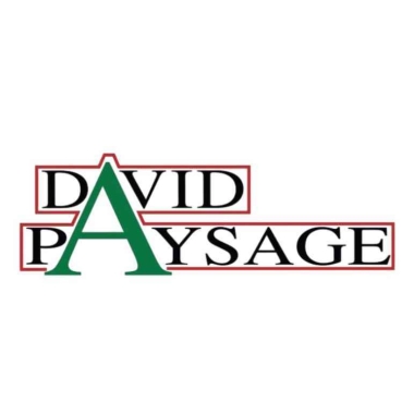 David Paysage