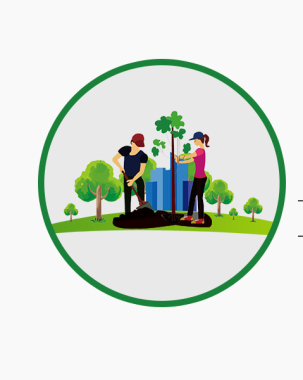 Metroraita-Urban Gardening Services