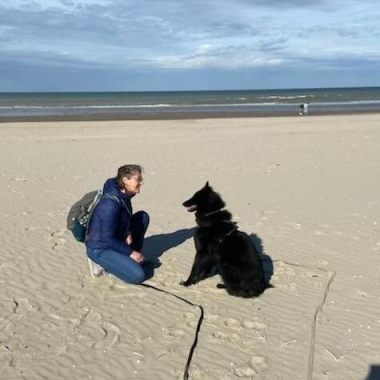 Dog’S Connexion