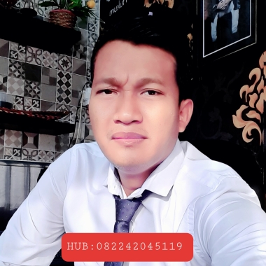 Pengacara Profesional