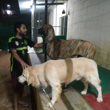 Abhishek Rk