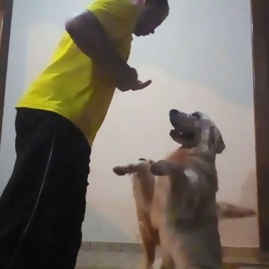 Luis Fabiano - Cãopanheiros