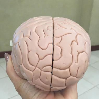 Neuropsicologia Clínica