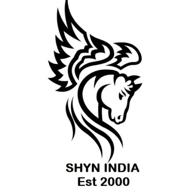 Shyn India Detectives