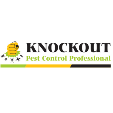 Knockout Pest Control Professional
