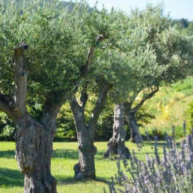 Durance Jardin
