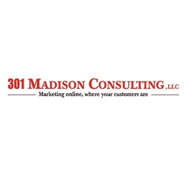 301 Madison Consulting Llc