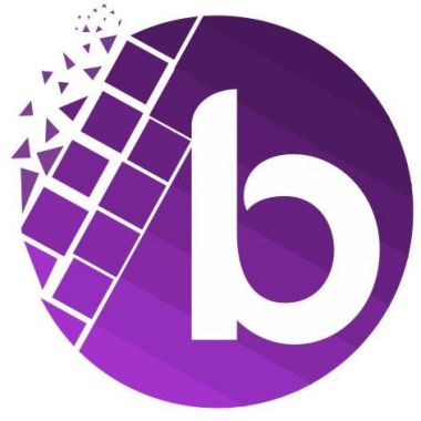 Business It South