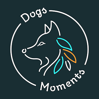 Dogsmoments Katarzyna Majchrzak