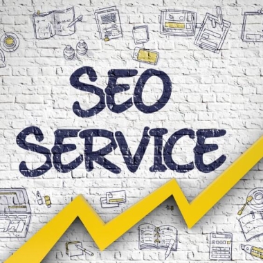 Seo Freelancer Kolkata