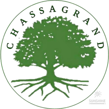 Chassagrand Elagage