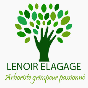 Frédéric Lenoir