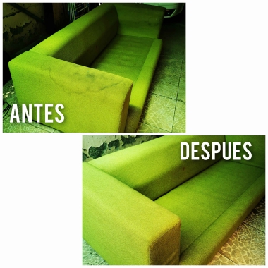 Limpio Tu Tapiz
