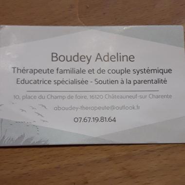 Thérapeute Familiale Et De Couple Systémique