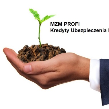 Mzm Profi Kredyty Ubezpieczenia Firmy